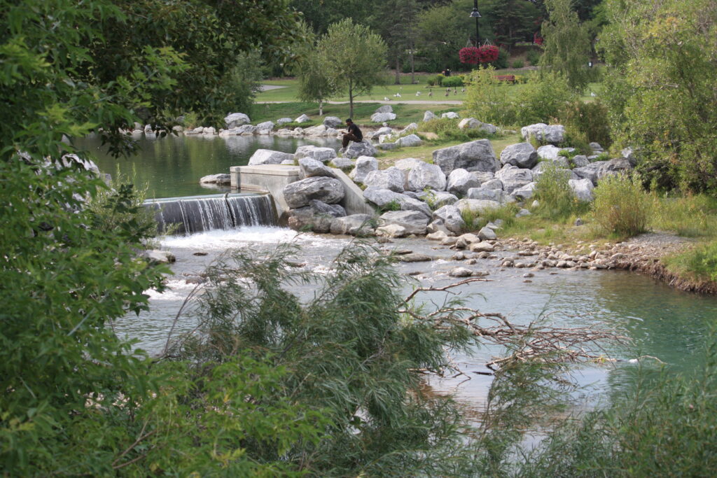 Parkland to be converted into housing complex.